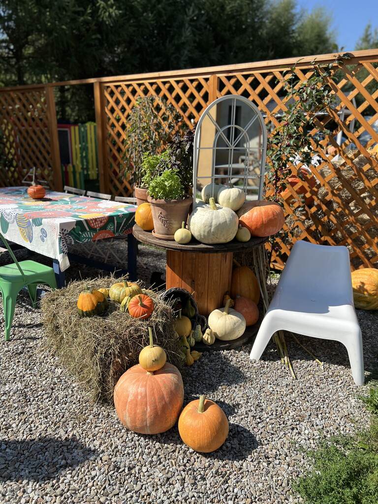 Jesienny urok dyniowego pola