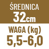 32 cm