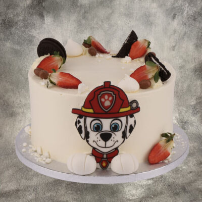 "Psi Patrol - Marshall"