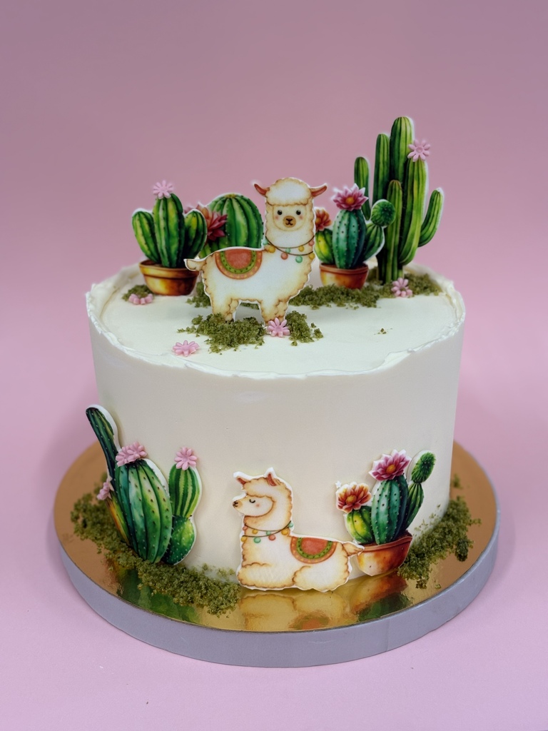 tortx 19_1024 tortx 19_1024