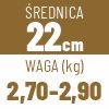 22 cm
