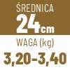 24 cm