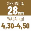 28 cm