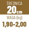 20 cm