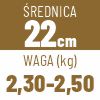 22 cm