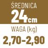24 cm