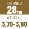 28 cm