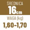 16 cm