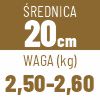 20 cm