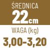 22 cm