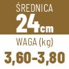 24 cm