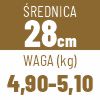28 cm