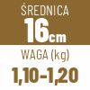 16 cm